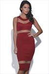 Cut Out Mesh Bodycon Dress