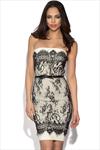 Lace Overlay Bandeau Dress