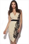 Little Mistress V Neck Lace Side Bodycon Dress